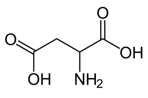 <p>Name this amino acid</p>