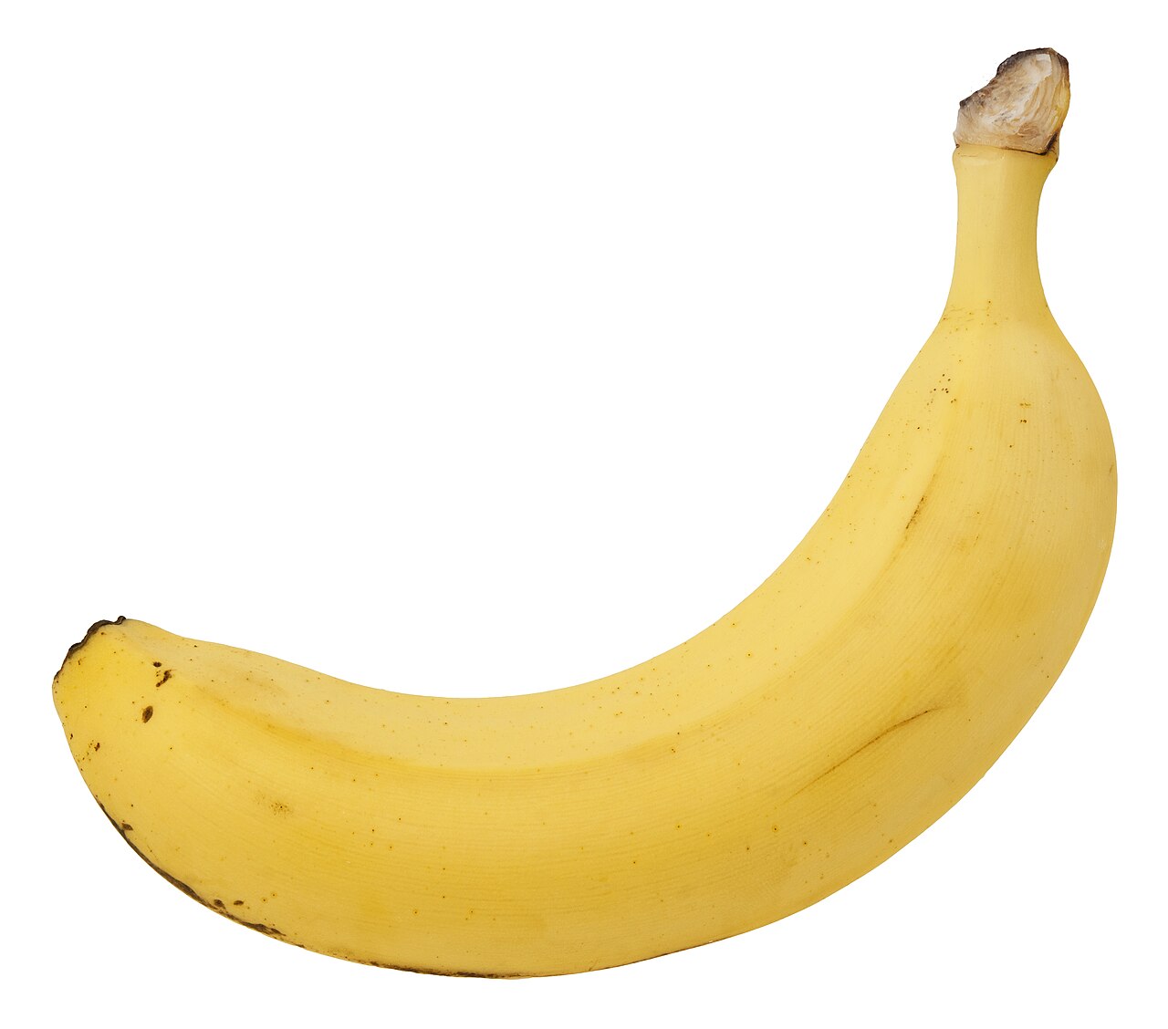 <p>un plántano</p>