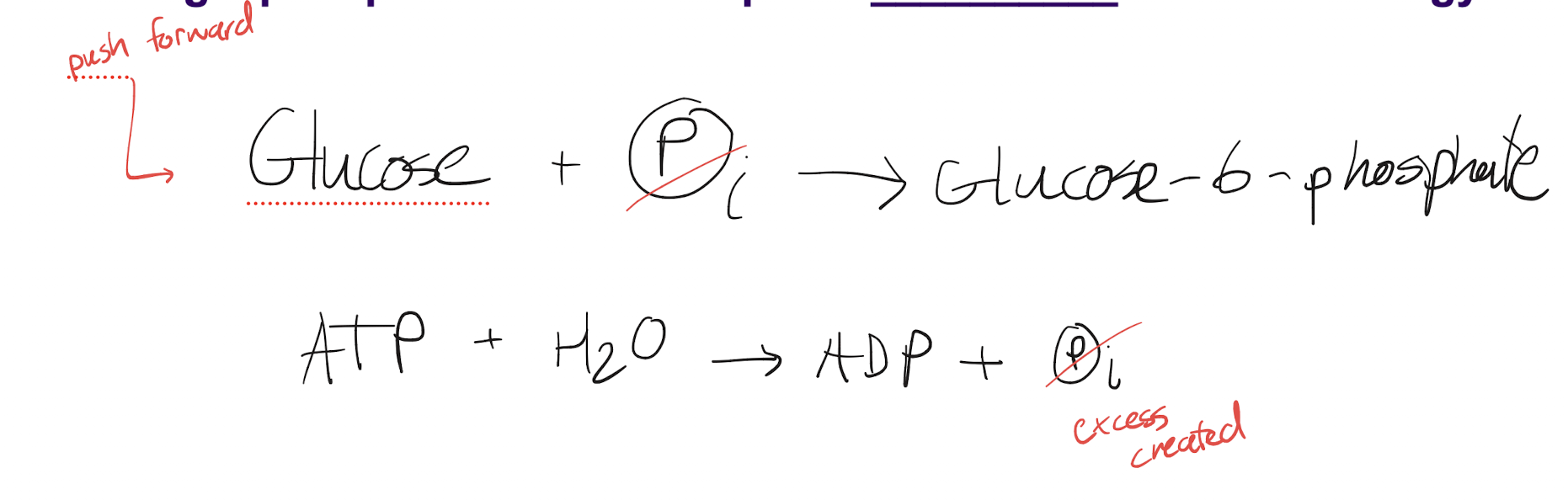 <p>Couples the breaking of a phosphoanhydride bond in ATP hydrolysis (releases high amount of energy) to the formation of a phosphoester bond in phosphoryl transfer (nonspontaneous on its own)</p><p>ATP hydrolysis creates a large excess amount of inorganic phosphate that acts as a substrate for phosphoryl transfer onto glucose/F6P, pushing the reaction forward</p>