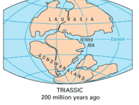 <p>triassic</p>