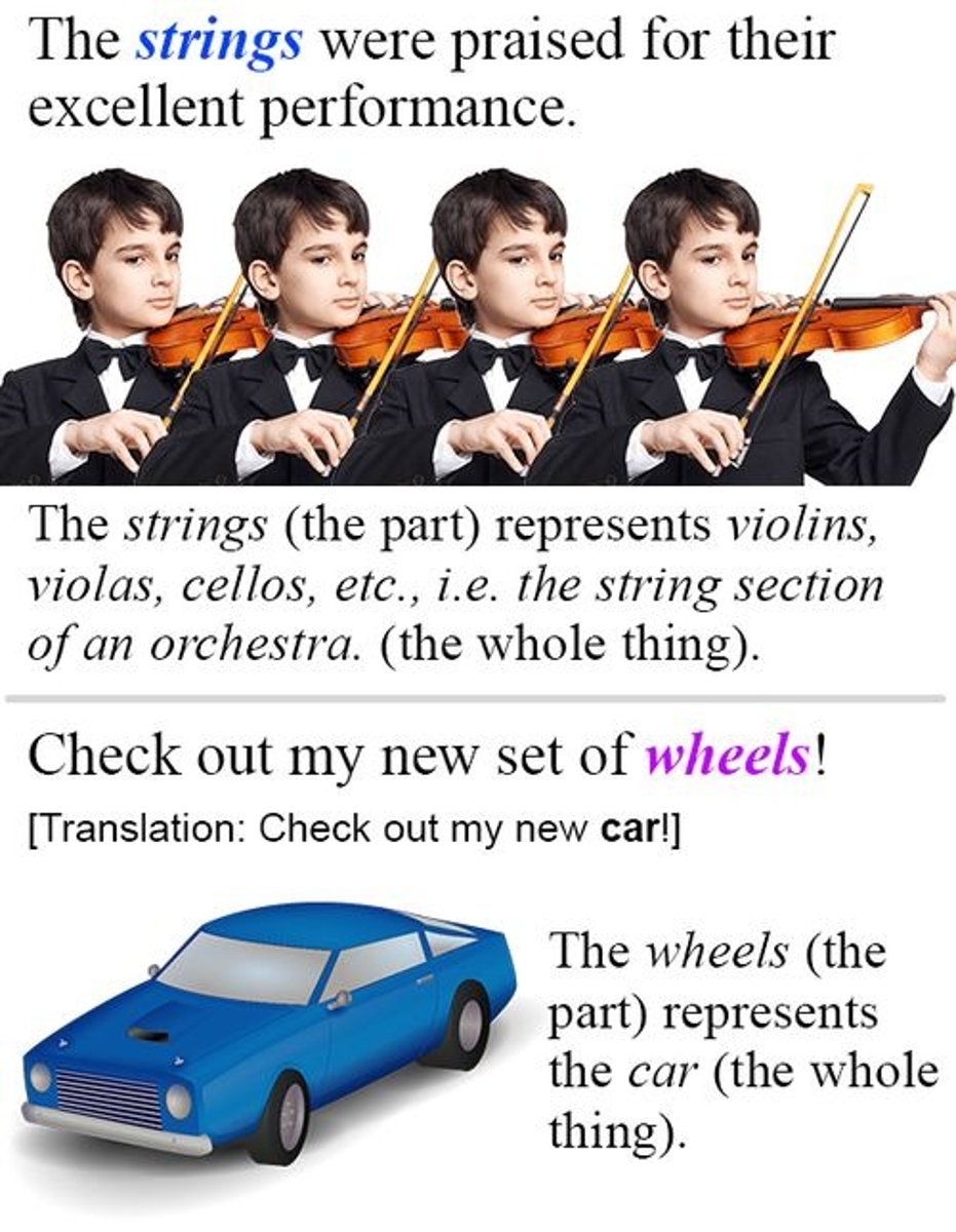 <p>A figure of speech in which a part is used for the whole</p>