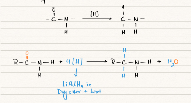 <ul><li><p>CONH + [H] → CH2NH </p></li><li><p>RCONH2 + 4[H] → RCH2NH2 + H2O </p></li></ul><p></p>