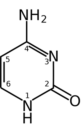 <p>What is this?</p>