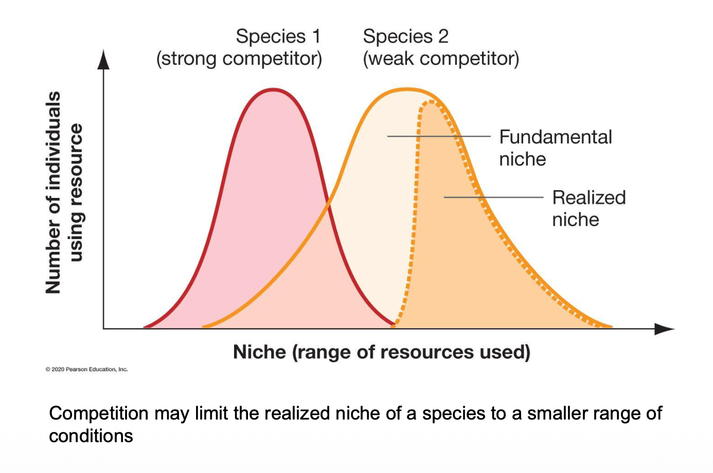 <p>• The physical space where an animal lives is its <strong>__</strong>.</p><p class="p1">• <strong>Niche</strong> - __:</p><p class="p2"><span data-name="arrow_right_hook" data-type="emoji">↪</span> What an animal does in its habitat and how it ? and stays adapted.</p><p class="p1">• <strong>__:</strong> potential role</p><p class="p1">• <strong>__:</strong> the subset of potentially suitable environments that an animal actually experiences</p>
