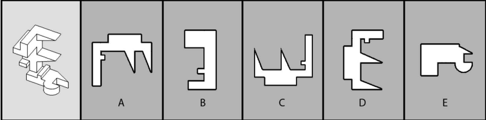 term image