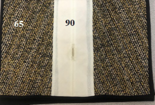 <p>What do these fibers represent?</p>
