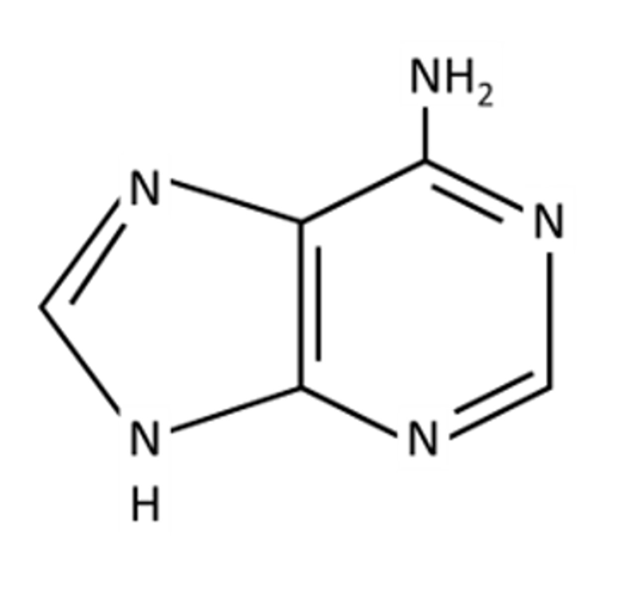 <p>Identify the following base:</p><p>A. Thymine</p><p>B. Guanine</p><p>C. Cytosine</p><p>D. Adenine</p>