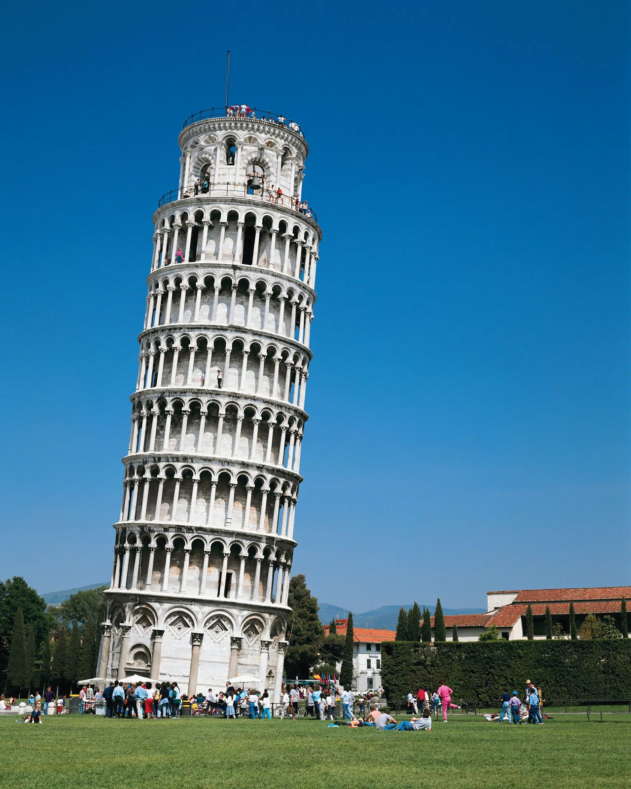 term image