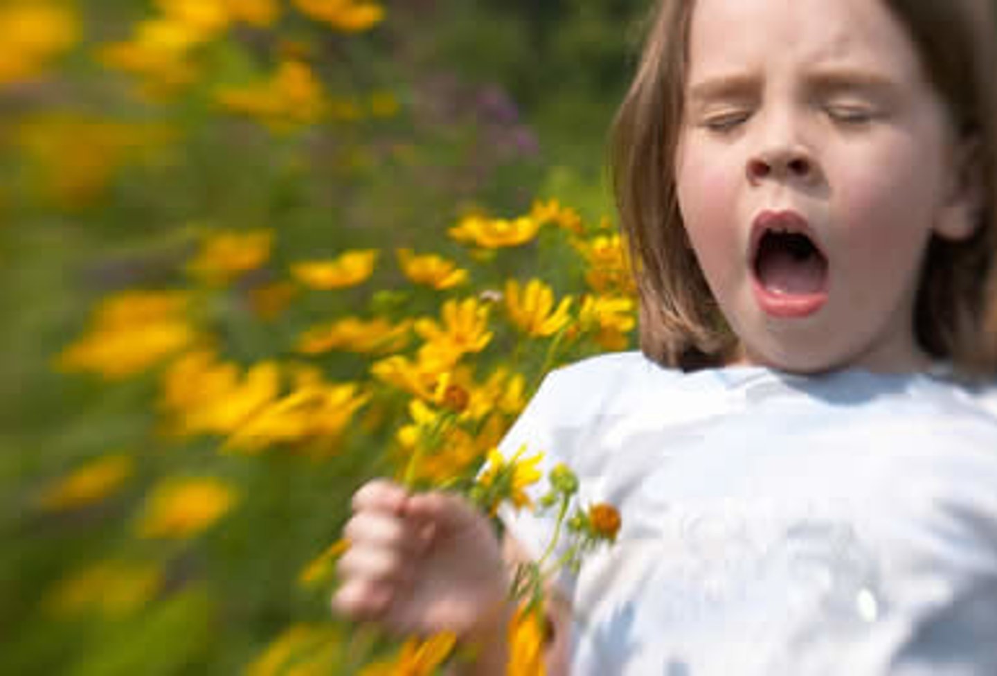 <p>that can't tolerate e.g. flowers</p>