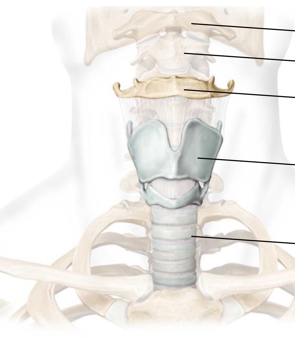 <p>Fill in the blank </p>