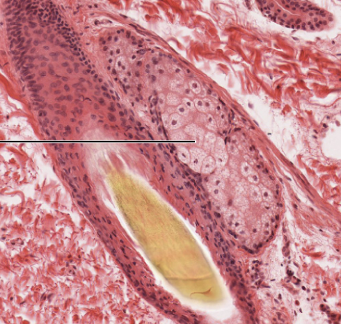 <p>What does this photo depict?</p>