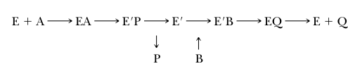<p>ping-pong mechanism</p>