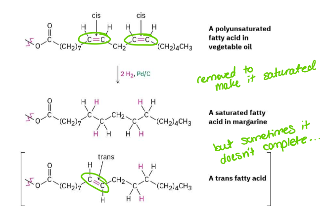 <p>partial hydrogenation; trans</p>