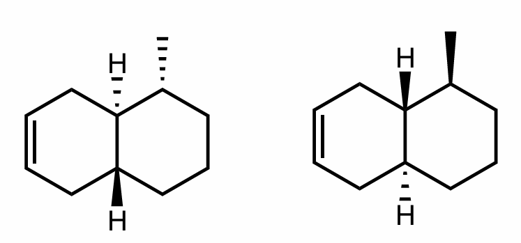 <ol><li><p>What is the relationship between this pair? </p></li><li><p>How do you know? </p></li></ol><p></p>
