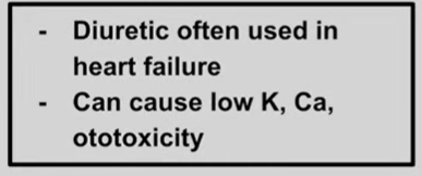 <p>furosemide</p>