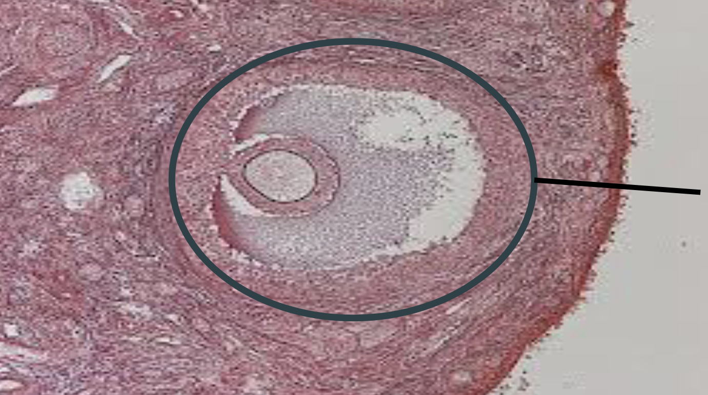 <p>Label the following</p>