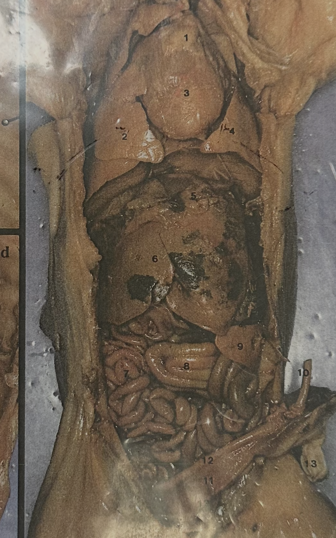 <p>2/4 =</p>