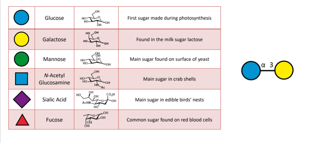 <p>draw out this molecule</p>