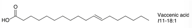 <p>vaccenic acid </p>