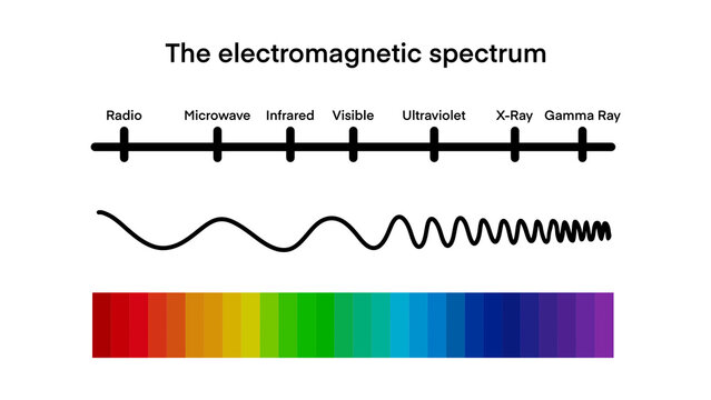 <p>Radio waves</p><p>Microwaves</p><p>Infrared waves</p><p>Visible light (ROYGBIV)</p><p>Ultra-violet waves</p><p>X-rays</p><p>Gamma rays</p>