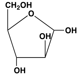<p>What Carbohydrate is this, and what is its abbreviation? </p>