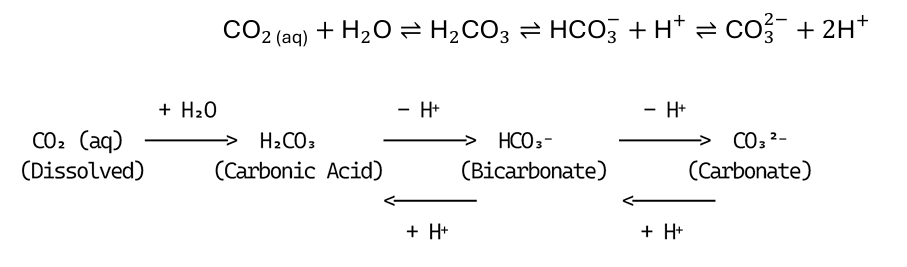 <p>dissolved CO2, carbonic acid, bicarbonate, and carbonate ions form an aqueous chemical equilibrium that buffers aquatic ecosystems against rapid pH fluctuation</p>