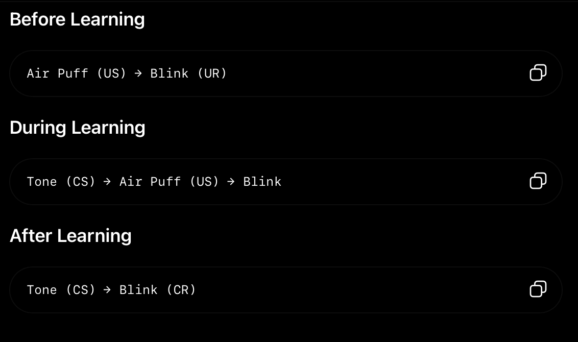 <p><span>a form of classical conditioning in which a neutral stimulus comes to trigger an eyeblink after being repeatedly paired with a stimulus that naturally causes blinking</span></p><p></p>