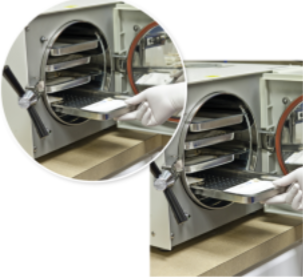 <p>What does the autoclave kill?</p>