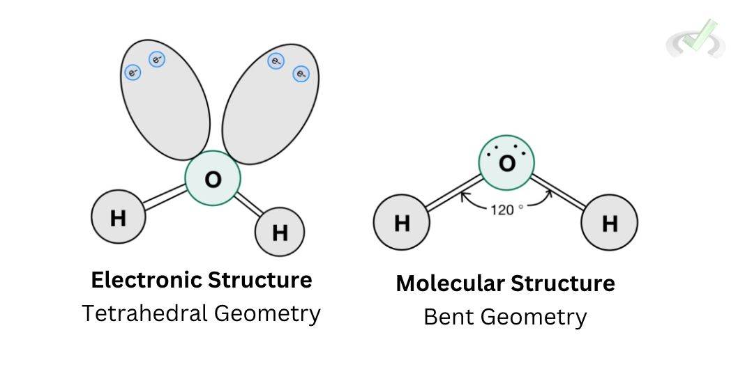 <p>(on left)</p><p>sp³</p><p>2 lone pairs</p><p>2 bonding domains</p>
