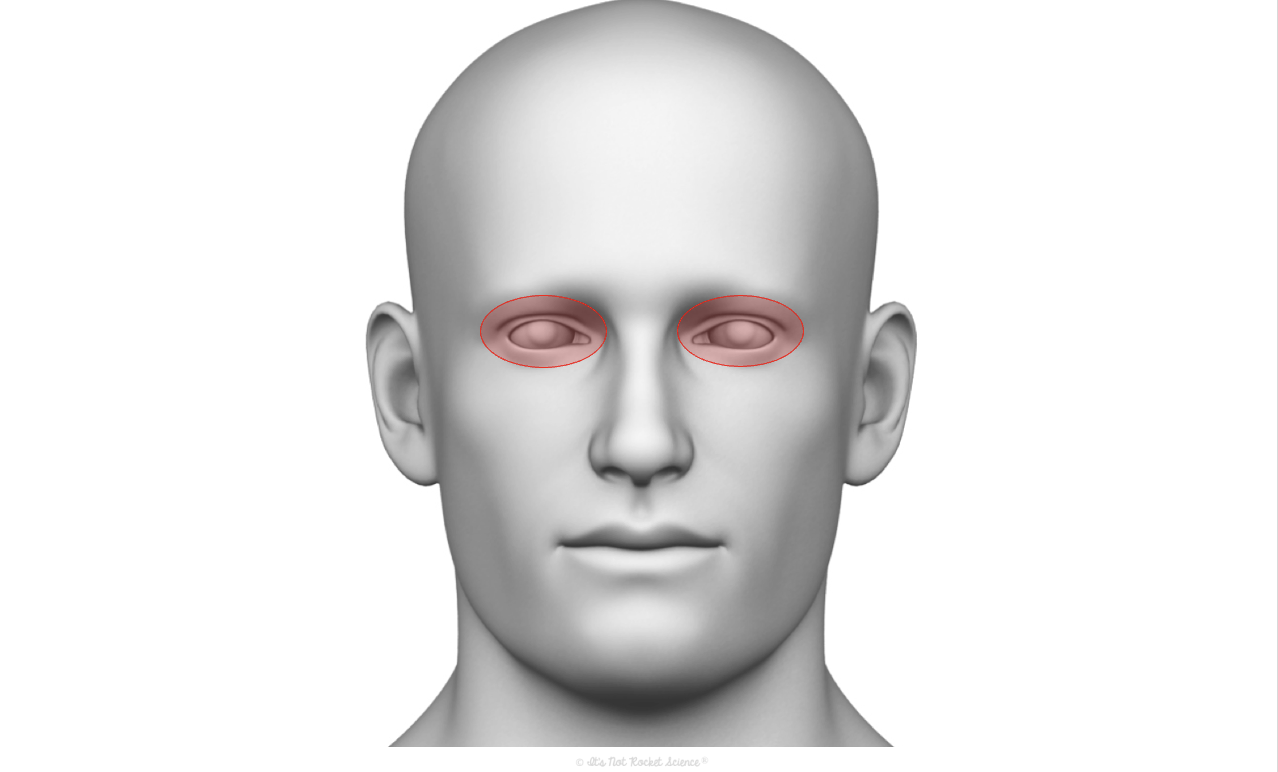 <p>a</p>
