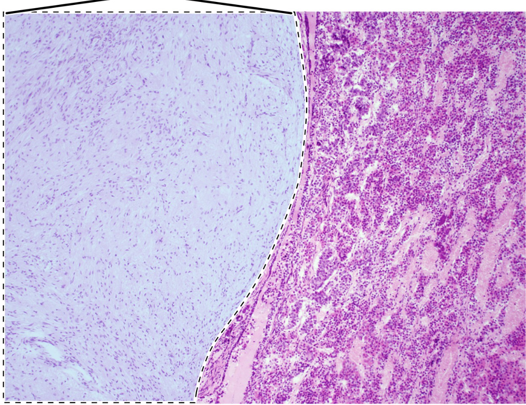 <p>ID highlighted area</p>