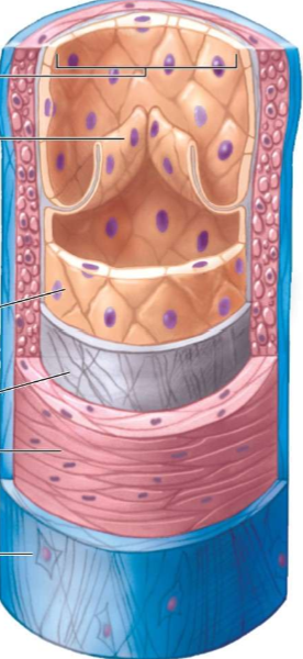 <p>what type of vessel is this? how do you know?</p>