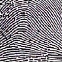 <p>what type of fingerprint is this?</p>