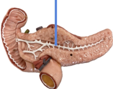 <p>name the parts</p>