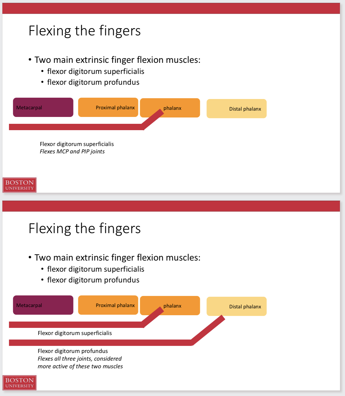 <p>Flexing the fingers</p>