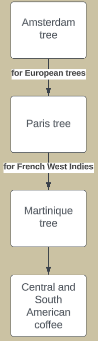 <p>Dutch smuggled seeds to the East Indies to grow. One of those trees grown in Amsterdam became the seed source for European coffee trees, one in Paris for the French West Indies, Martinique tree for Central and South America</p>