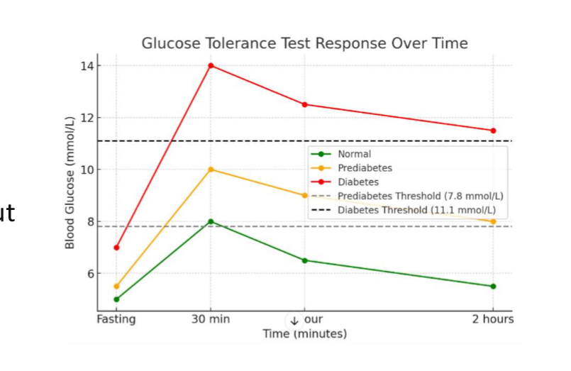 <p>for journal 3, they did a GTT which measures how well the body handles glucose. if bg levels remain high throughout the test, it indicates that the body cannot process and/or store glucose efficiently. 1) fasting. 2) baseline-fasting blood sample taken. 3) glucose administration. 4) monitoring- blood is taken at intervals</p>