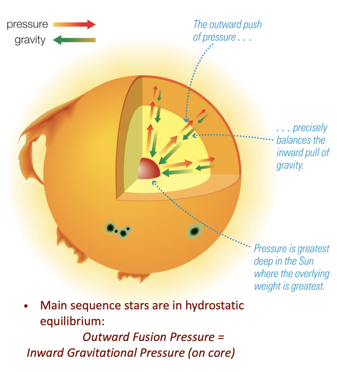 <p>Energy supplied by <strong>fusion</strong> maintains the <strong>outward</strong> pressure that balances the <em>inward</em> crush of gravity</p><ul><li><p><strong>Outward pressure force from nuclear fusion balances with Inward gravitational force</strong></p></li><li><p>This balance keeps the Sun stable and not collapsing or exploding.</p></li></ul><p></p>