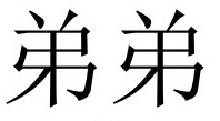 <p>弟弟 (dìdi)</p>