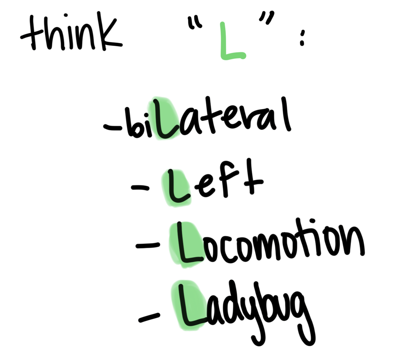 <p>body can be divided into 2 equal planes: left and right</p><ul><li><p>allows for better directional movement/locomotion</p></li><li><p>cephalization: formation of a head</p></li></ul><p>EX: in most animals like a ladybug</p><p></p>