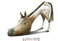<p>Horseshoe kidneys</p>