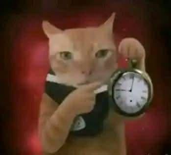 <p>Tardy</p>