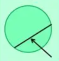 <p>line segment whos endpoints are on circumference of the circle</p>