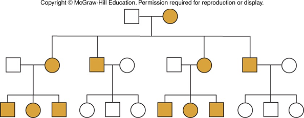 <p>mitochondrial genome</p><ul><li><p>mutations are passed from mothers to children </p></li><li><p>symptoms vary due to heteroplasmy</p></li></ul><p></p>