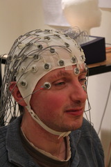 <p>an amplified recording of the waves of electrical activity sweeping across the brain's surface. These waves are measured by electrodes placed on the scalp.</p>