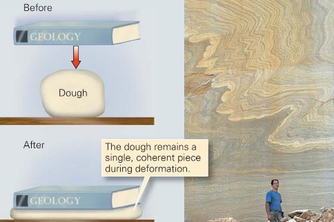 <p><span>The action or process of changing shape/location/orientation of rocks or rock layers through the application of strain and stress is called </span><strong>deformation</strong><span>. Which of the following </span><strong>types of deformation</strong><span> is illustrated in the figure below? (mark all that applies)</span></p>