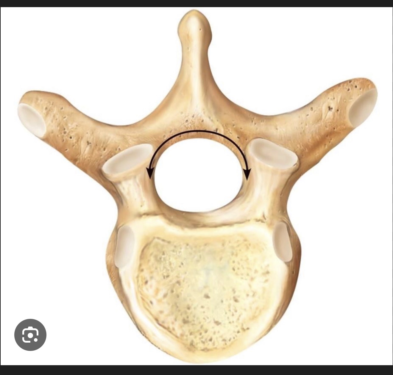 <p>what is this?</p>