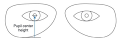 <p>Progressive lens fitting cross height is measured like MRP height for SV lenses, but there is not ________ compensation made for pantoscopic tilt</p>