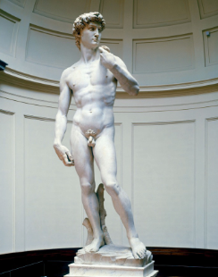 <p>David </p>