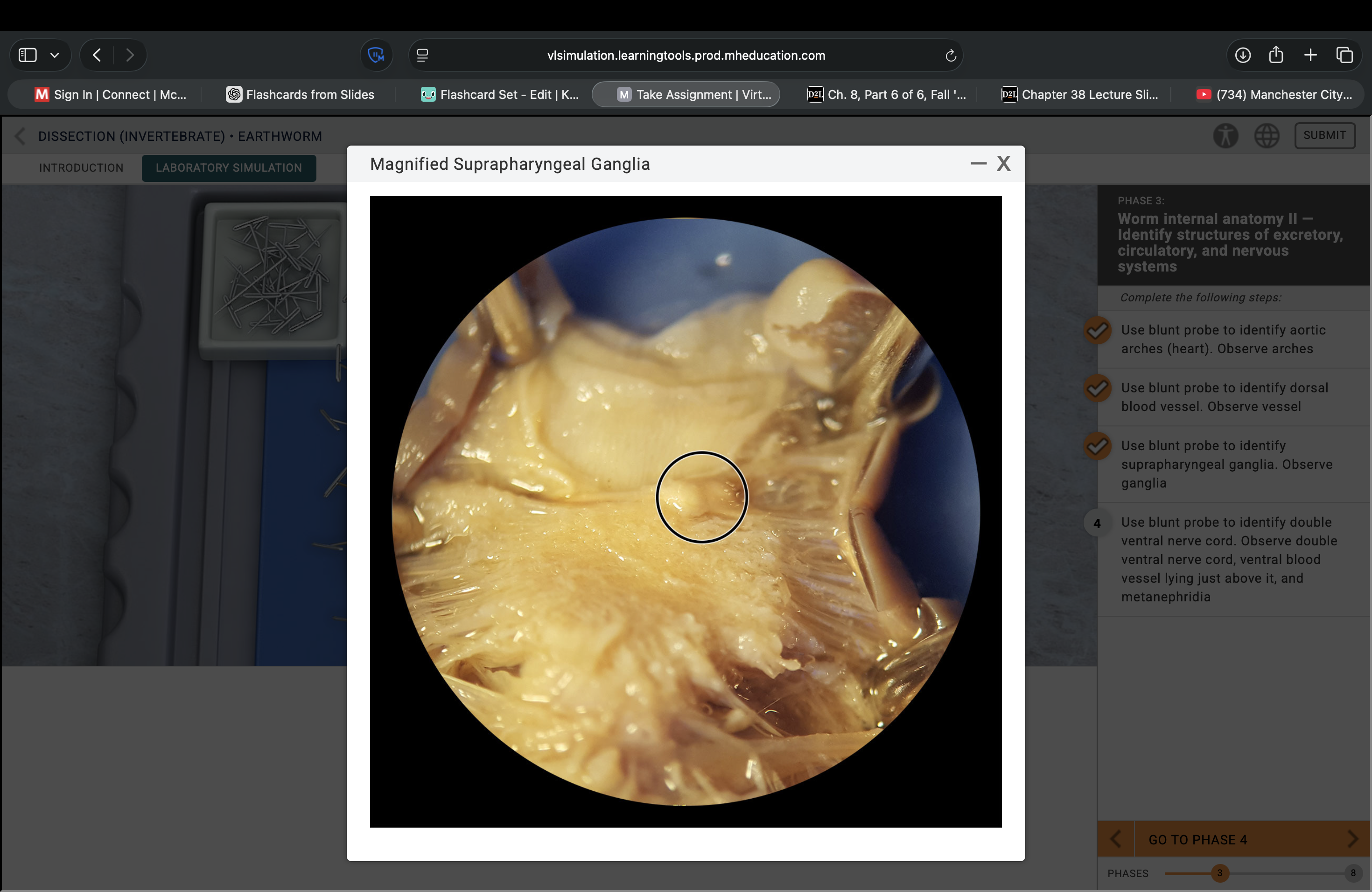 <p>What structure is this pointing to?</p>